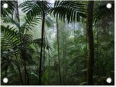 Tuin decoratie Regenwoud - Tropisch - Jungle - Bomen - Planten - 40x30 cm - Tuindoek - Buitenposter
