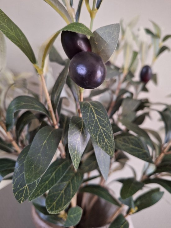 roberts-olijfboom-65cm-kunstolijfboompje