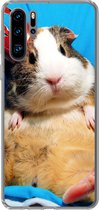 Coque Huawei P30 Pro - Cochon d'Inde - Drôle - Kroon - Enfants - Garçons - Filles - Enfant - Coque de téléphone en Siliconen