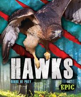 Birds of Prey - Hawks