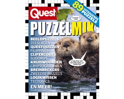 Quest Puzzelmix 3 2025
