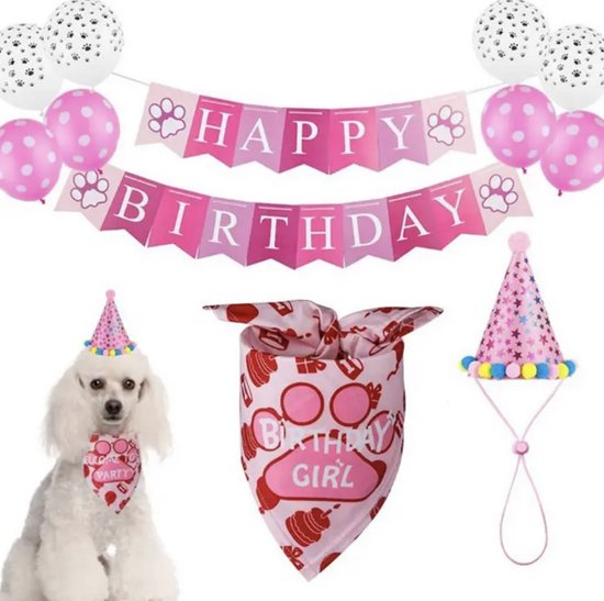 Verjaardag set voor honden met een witte poedel, roze ballonnen, slinger, feestmuts en bandana met 'Birthday Girl' tekst.