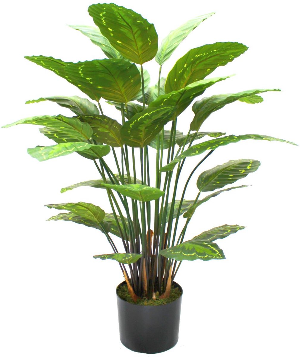 PrettyPlants Calathea Kunstplant 70cm | Kunstplant voor binnen | Hoogwaardige Kunstplant | Groene Kunstplant | Calathea Nepplant