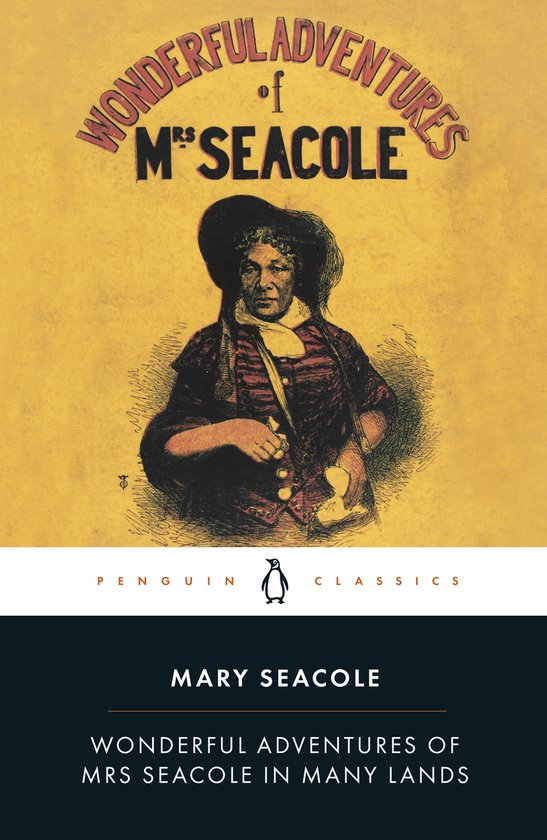 PC Wonderful Adventures Of Mrs Seacole - cover