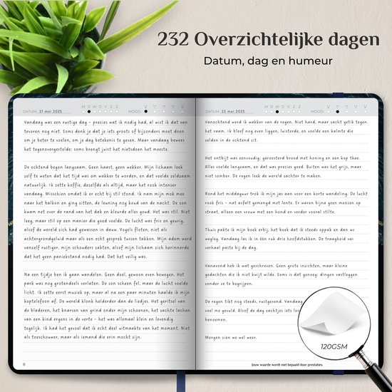 Pagina's van een dagboek met datum, weer en gedachten geschreven door een persoon. Titel: 'Overzichtelijke dagen'.