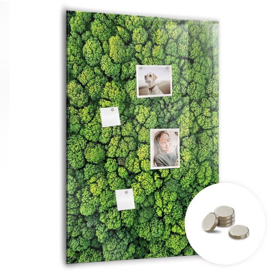 Foto: Tulup glassboards bosbomen natuur magneetbord 70 cm x 100 cm groente magneetbord design gratis 5 sterke magneten design memobord magnetisch bord kind magnetisch memobord idee nbord thuiswerkplek magneetbord foto