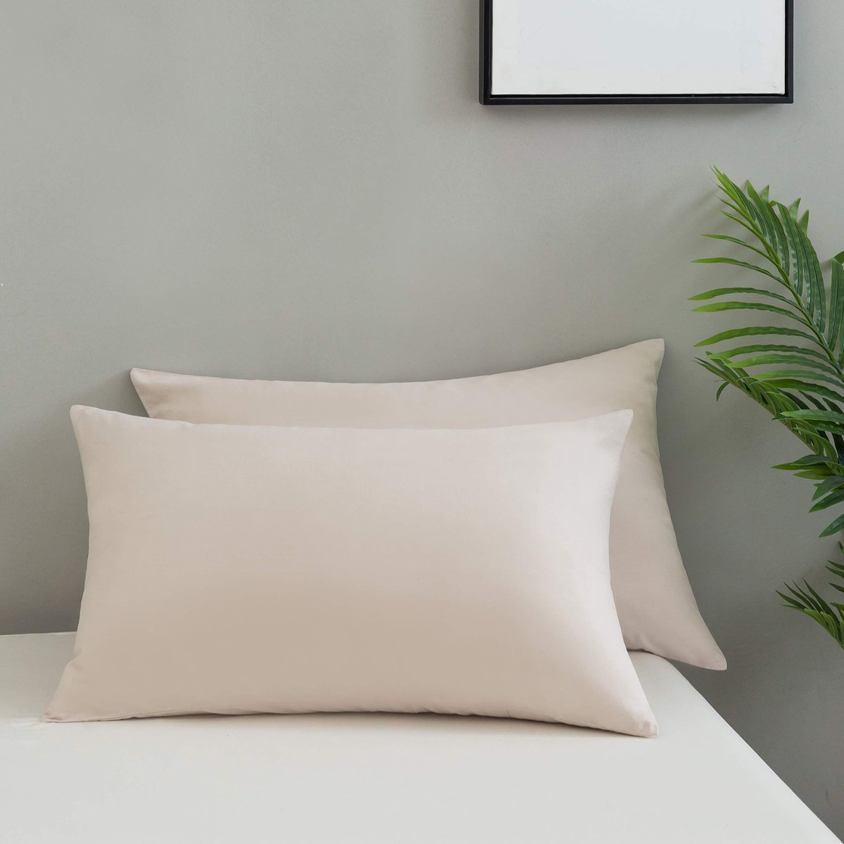 Ibenzoa Premium Microvezel Kussenhoezen met Ritssluiting - Set van 2, 50x75cm beige