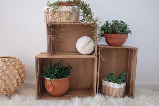 Speelgoedkisten van 3 Sprouts Dieren