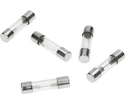 Set glaszekeringen 10A 25mm (5 stuks)