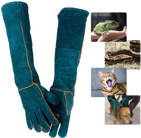 Donkergroene beschermende handschoenen met gele biezen, naast een collage van een groene leguaan, een slang, een tijgerkat en een hond die wordt vastgehouden.