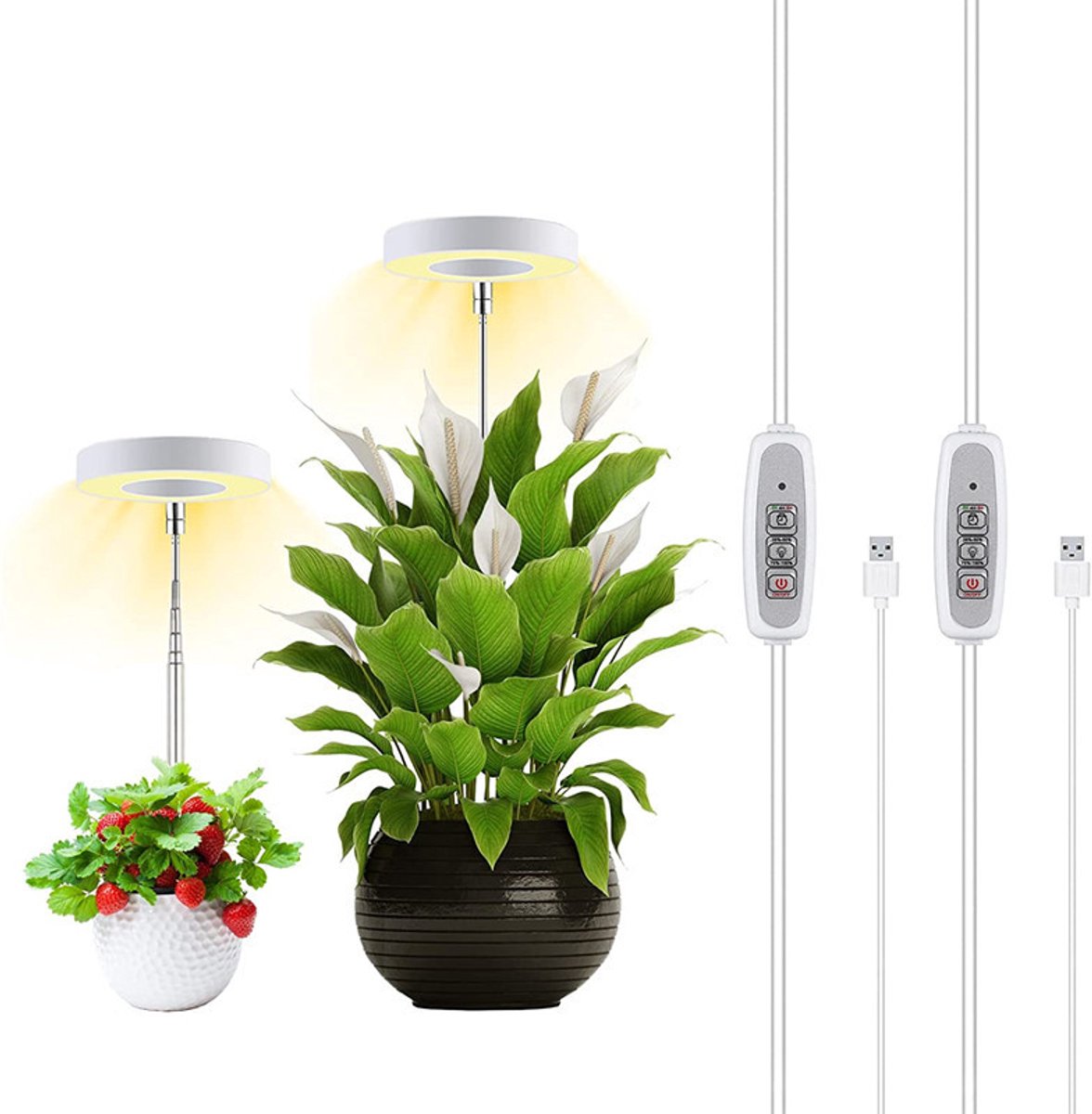 Hoe kies je de juiste LED-groeilamp voor kamerplanten? - Miilkiia