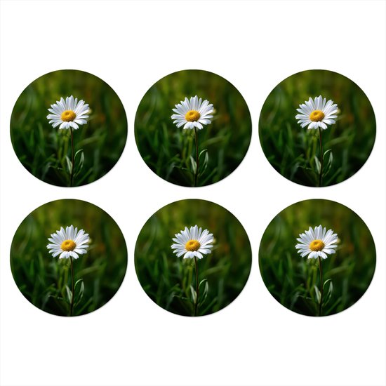 Stroken Bloemen type 2 Fiets stickers kopen Stroken Bloemen type 2 Fiets stickers kopen