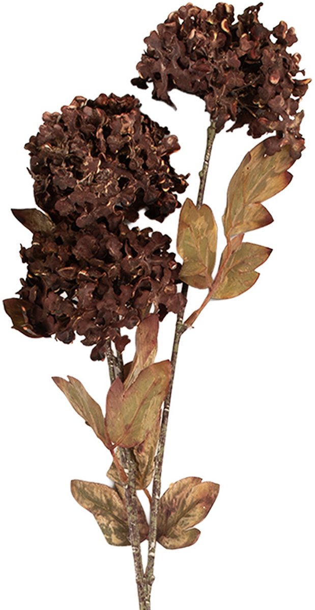 Kunstbloem - Zijden 10x8x76 cm Bruin Kunststof Kunstbloemen