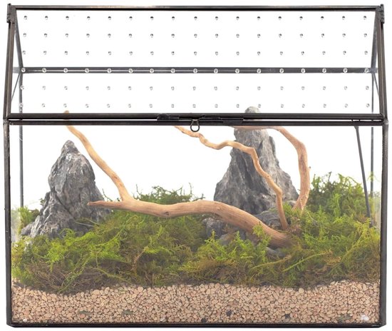 Huisvorm glazen terrarium - tafeldecoratie voor planten - 1 stuk - zwart