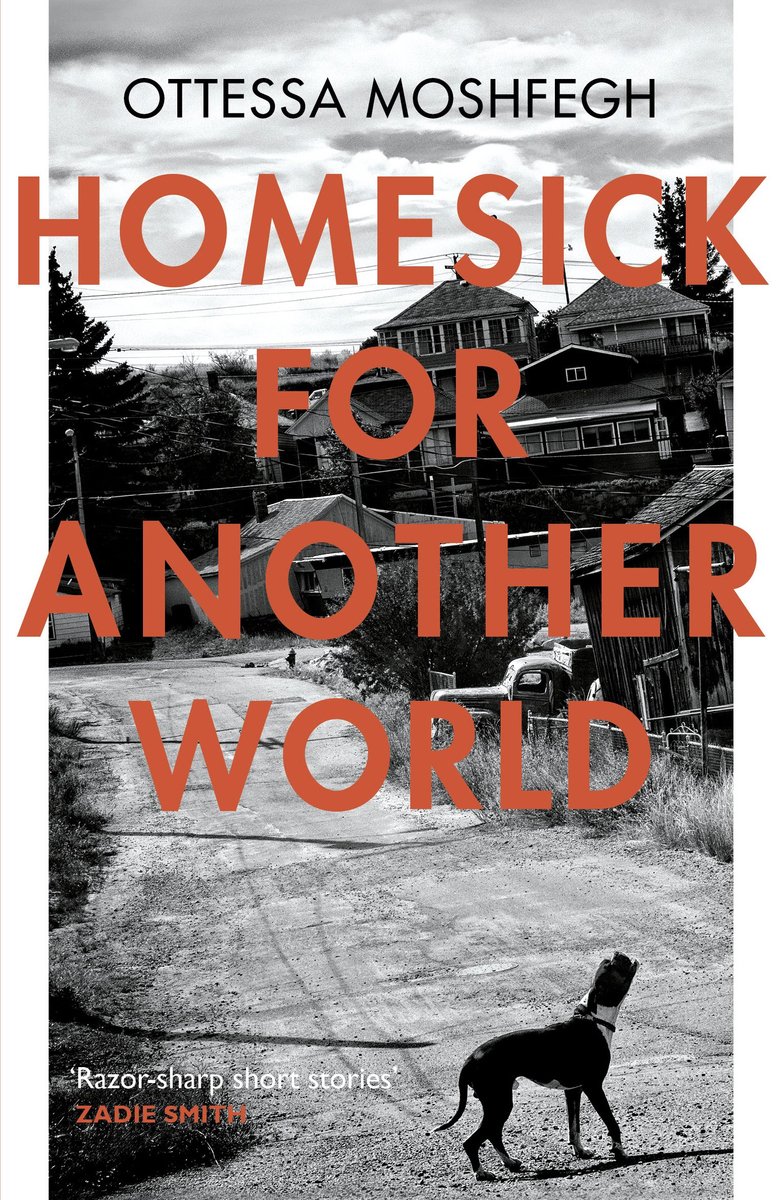 Omslag van Homesick For Another World