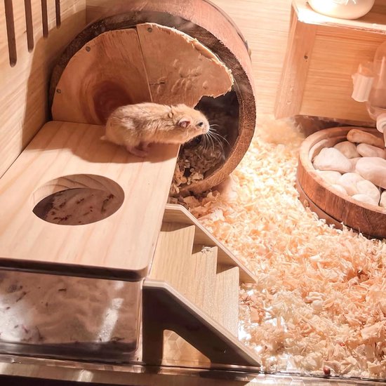 BUCATSTATE Hamster-zandbadkamer, transparant, zandbad voor hamsters met schep, kooi-accessoires voor cavia's, gerbille, dwergen (M BUCATSTATE Hamster-zandbadkamer, transparant, zandbad voor hamsters met schep, kooi-accessoires voor cavia's, gerbille, dwergen (M