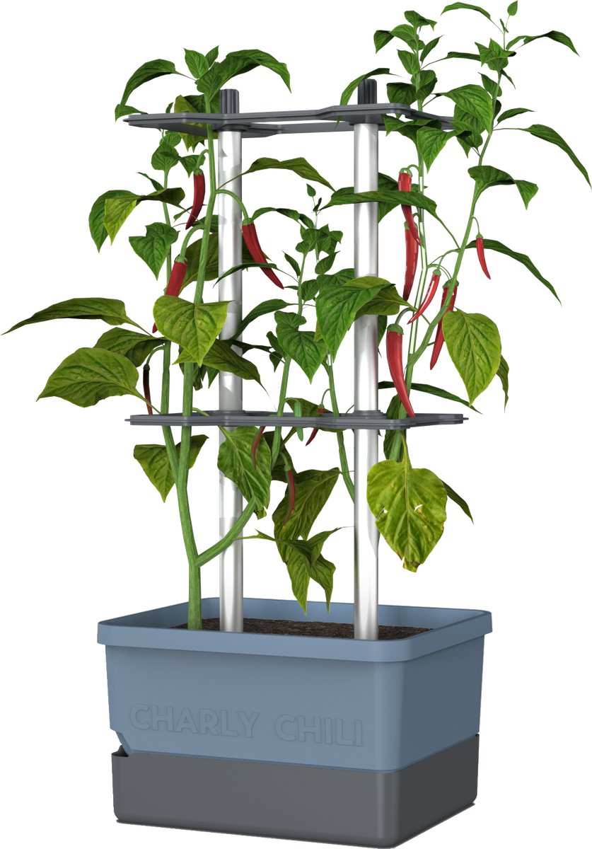 Gusta Garden - Charly Chili - Chiliplanten - Chiliplanter met watertank - Kweekbox - Kweektafel - Blauw