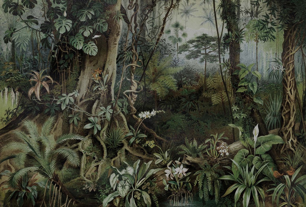 Tropisch regenwoud behang groen DD110696, BRICOFLOR.nl
