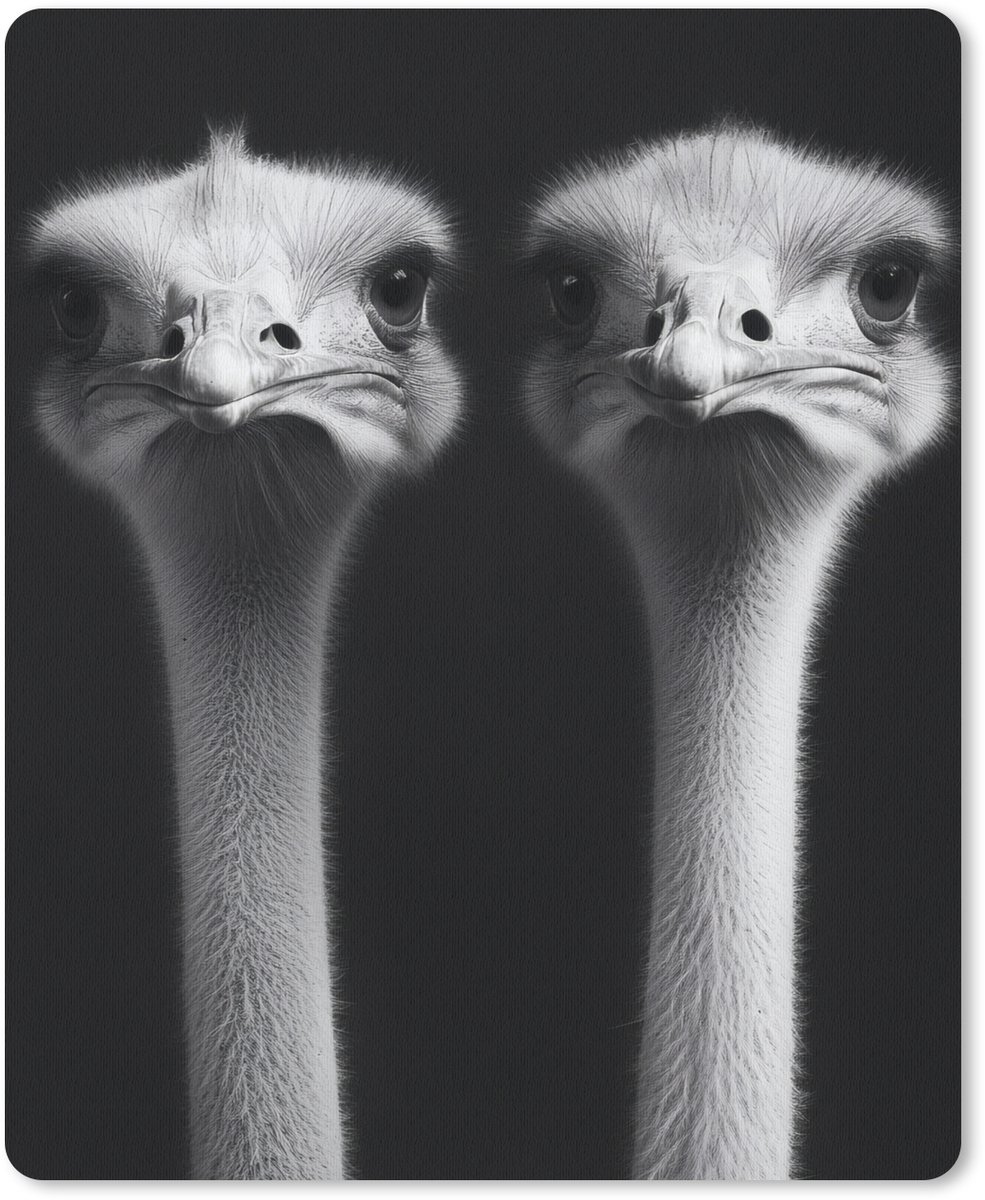 Muismat 19x23 cm - Mousepad Struisvogels - Halzen - Zwart - Minimalistisch - Muismatten
