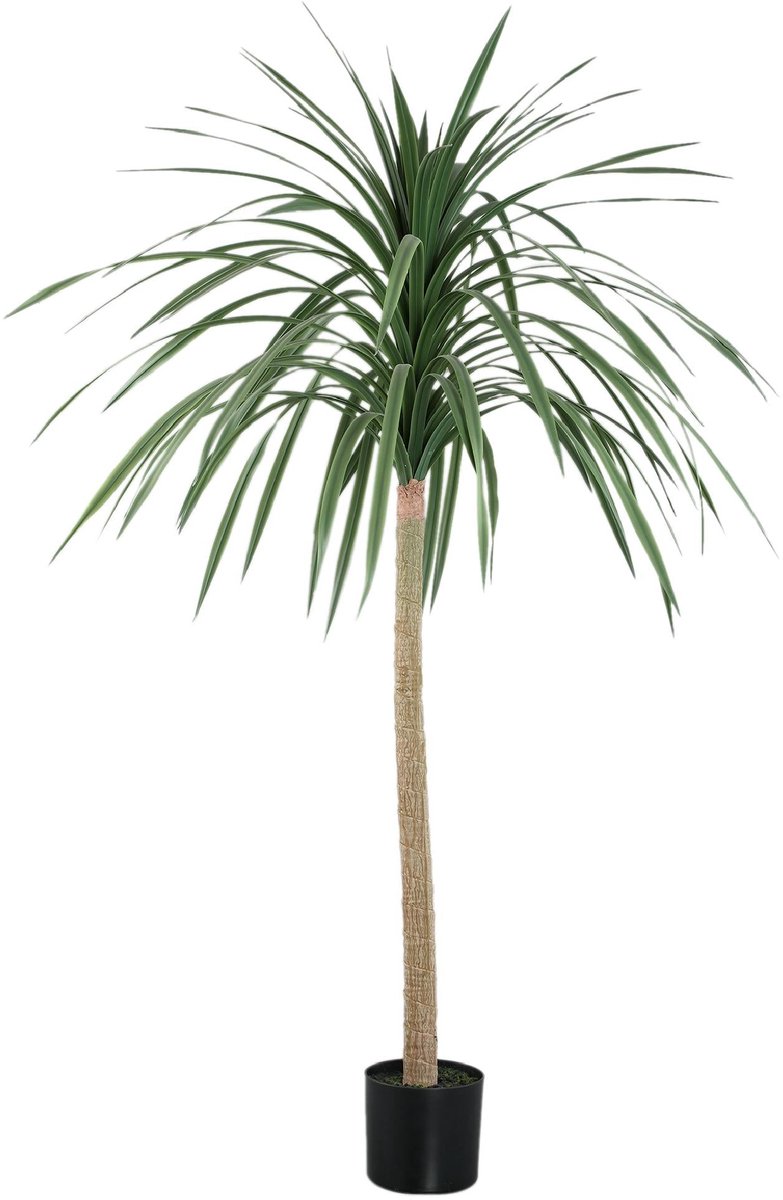 PTMD Kunstplant Tree - 90x90x160 cm - Polyester - Zwart