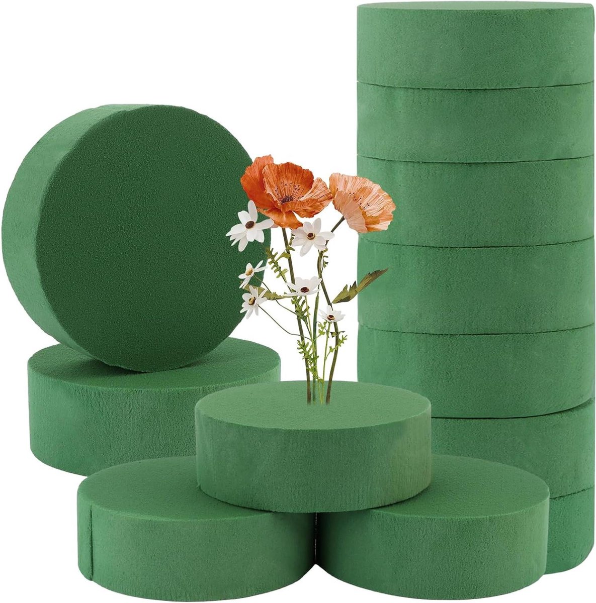 Allecto Plus - Steekschuim rond 12 stuks, geschikt voor bloemstukken en knutselen. Met steekspons voor verse bloemen - 12 x 4 cm, in groene steekmassa.