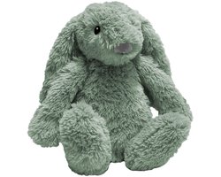 foto van Zazu Ro het Konijn Green Knuffel met Nachtlampje