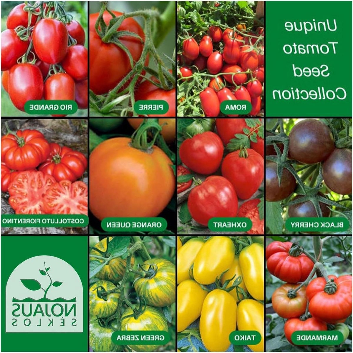 Tomatenzaad Set - 10 Soorten – Verschillende Tomatenzaad Starterkit – 10 Pakjes – Tuinzaad Planten – Groentezaad Box – 10 Soorten – Zaadbox – Zaden