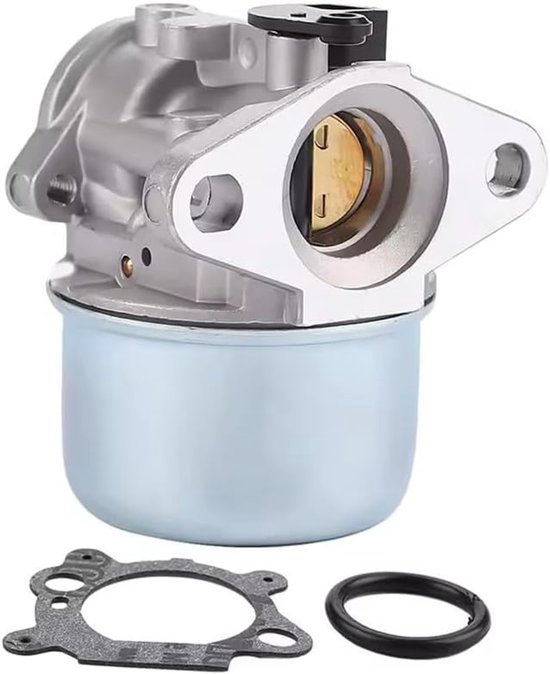 Carburatore Completo Per Motore Briggs & Stratton - Con Guarnizioni, Filtro E Candela - Foto 5