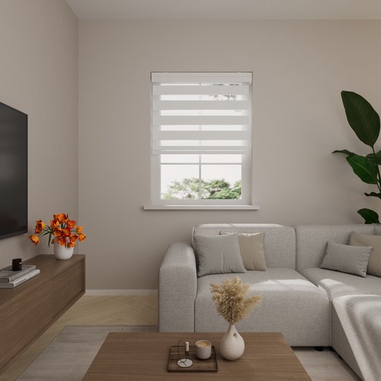 Duo Roller Blind Splendid Translucent White 220 x 175 cm