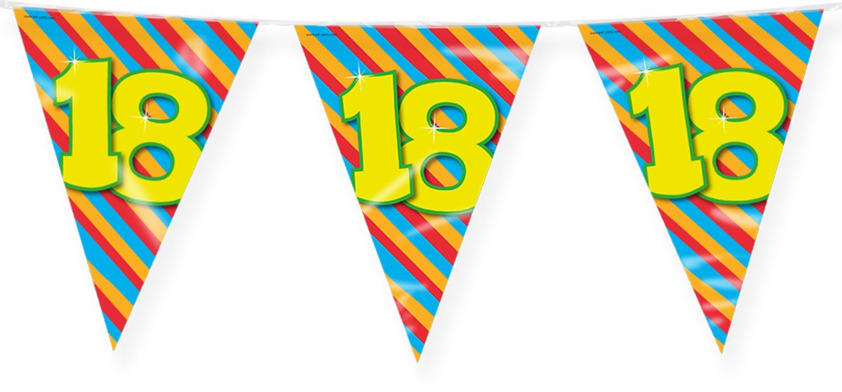 2x Gender reveal party/feestje versiering vlaggenlijnen 10 meter | Fun