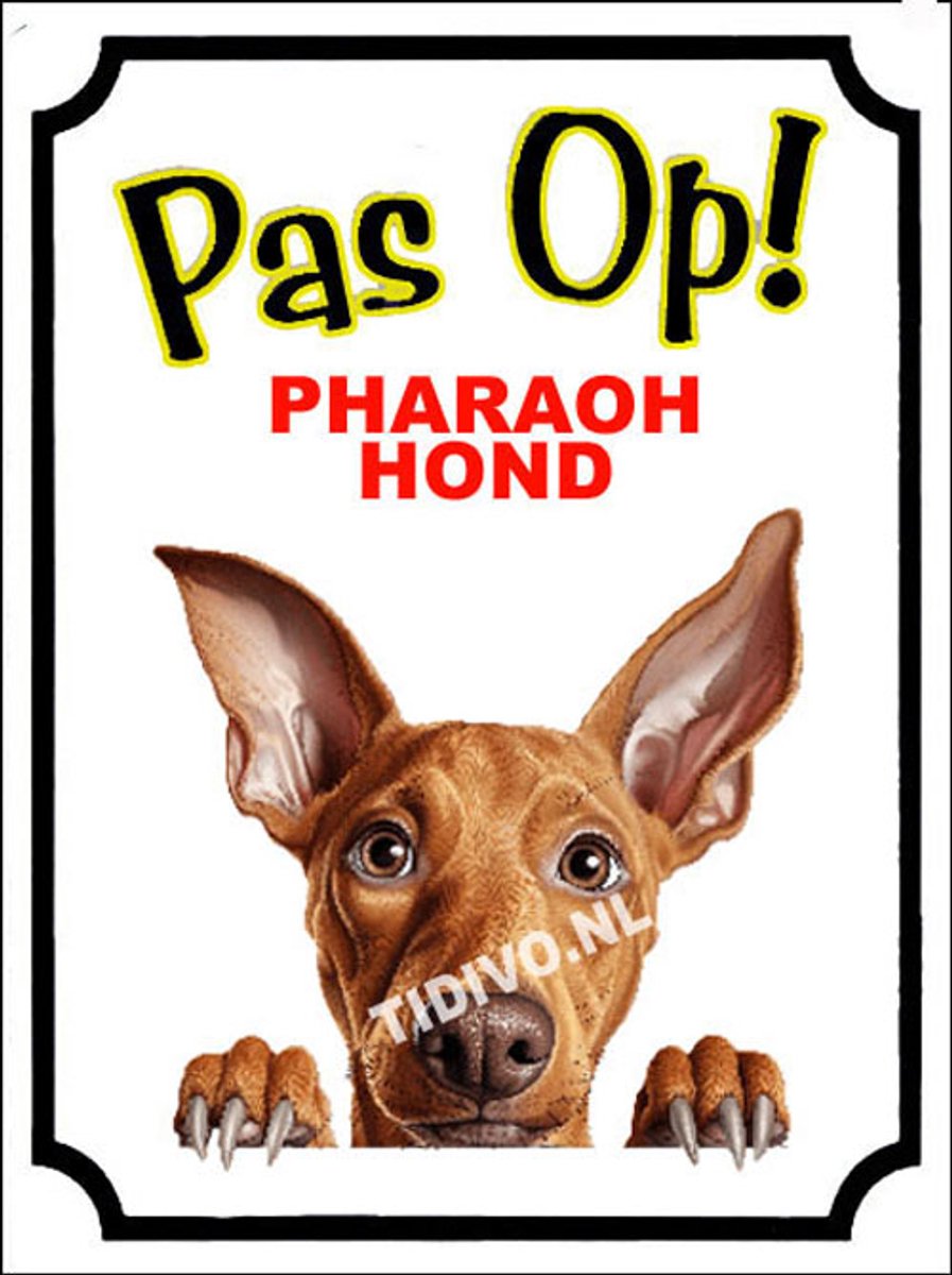 Pharaohond 16