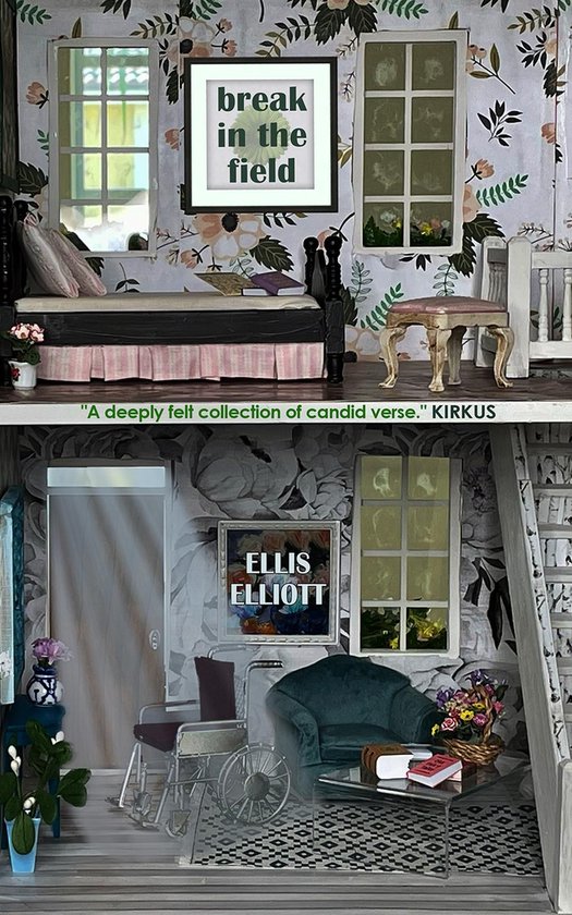 Break in the Field - cover