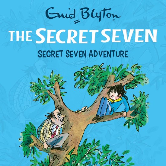Secret Seven2- Secret Seven Adventure - cover