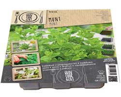 Groeikit munt (Grow Kit Mentha) - Zaaisetje Munt - Zomerbollen - Voorjaarsbollen