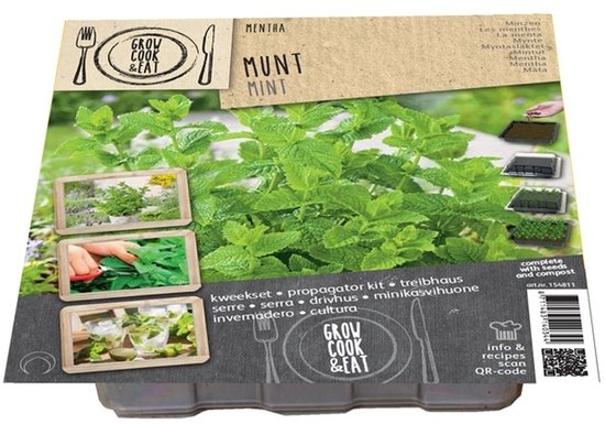 Groeikit munt (Grow Kit Mentha) - Zaaisetje Munt - Zomerbollen - Voorjaarsbollen