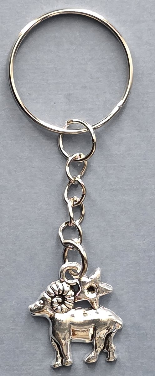 ram sleutelhanger