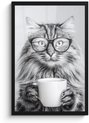 Chat - Tasse