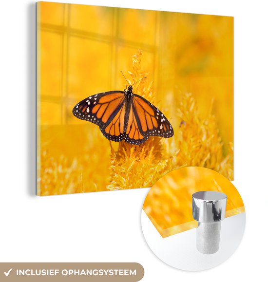 MuchoWow® Glasschilderij 40x30 cm - Schilderij acrylglas - Monarchvlinder - Foto op glas - Schilderijen