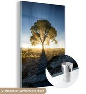 MuchoWow® Glasschilderij 40x60 cm - Schilderij acrylglas - Zonnestralen langs een boom op een mistige ochtend - Foto op glas - Schilderijen