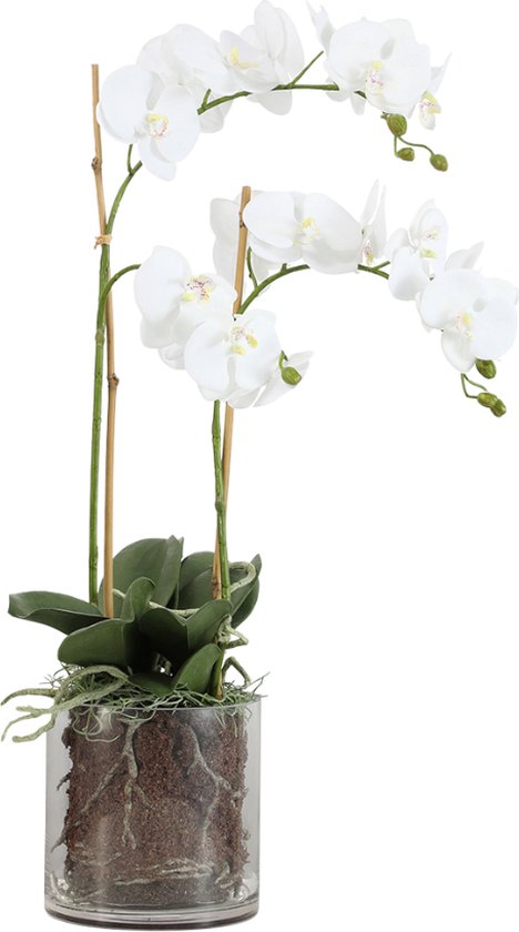 Kunstmatig orchideeën arrangement met transparante witte vaas H60