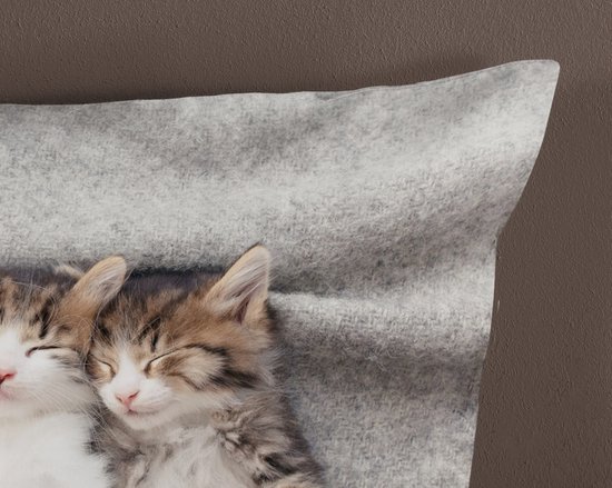 Pure Kinderdekbedovertrek "kitten poezen" - Grijs - (140x200/220 cm) - Microfiber van Pure — afbeelding 3