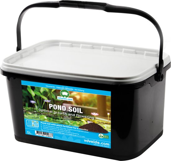 Swampworld® Mini Terrarium - Verlichting - Vleesetende Plant - Papegaaibekplant