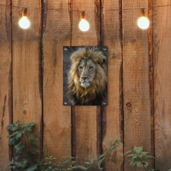 Décoration de Jardin Lion - Portrait - Sauvage - 30x40 cm - Toile de jardin