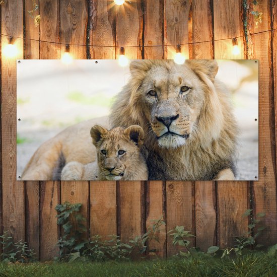 Affiche de clôture Lion - Cub - Portrait - 200x100 cm - Toile de jardin