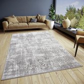 Flycarpets Shine Design vloerkleed - Style - Grijs / Beige - 67x120 cm