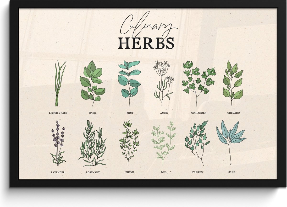 FrameYourWall Fotolijst inclusief poster - Posterlijst 60x40 cm - Posters - Kruiden - Planten - Herbs - Groen - Vintage - Foto in lijst - Keuken decoratie muur - Wanddecoratie accessoires - Muurdecoratie - Schilderijen Kruiden - Overzicht