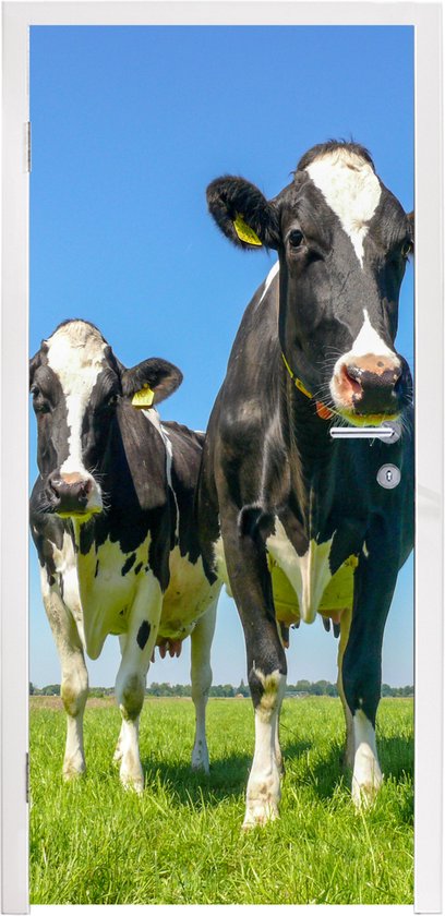 Sticker pour porte Vaches - Pâturage - Herbe - Animaux - Ferme - 95x215 cm - Affiche de porte