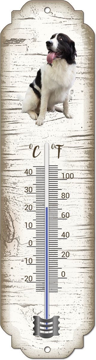 Thermometer: Landseer ECT | Hondenras | Temperatuur binnen en buiten | -25 tot +45C