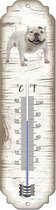 Thermometer: Amerikaanse Bully | Hondenras | Temperatuur binnen en buiten | -25 tot +45C