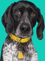 DWAM Dog with a Mission Halsband hond – Hondenhalsband – Geel – S – Leer – Halsomvang tussen 27-33 x 2 cm– Blue Star